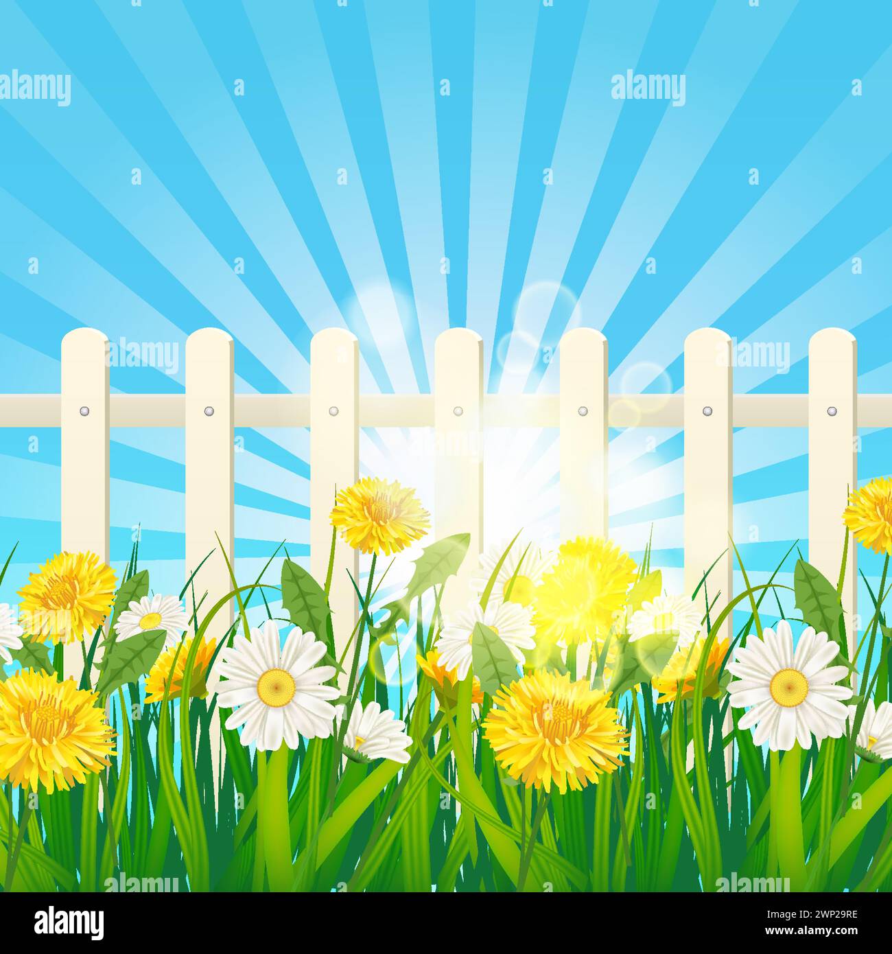 Spring green grass, daisy and dandelion flowers, white fence Stock Vector