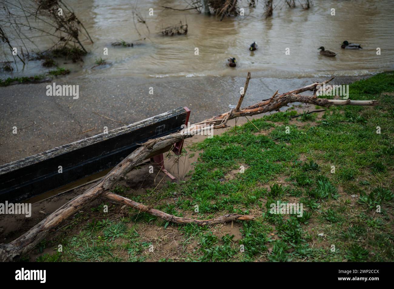Flood impact assessment hires stock photography and images Alamy