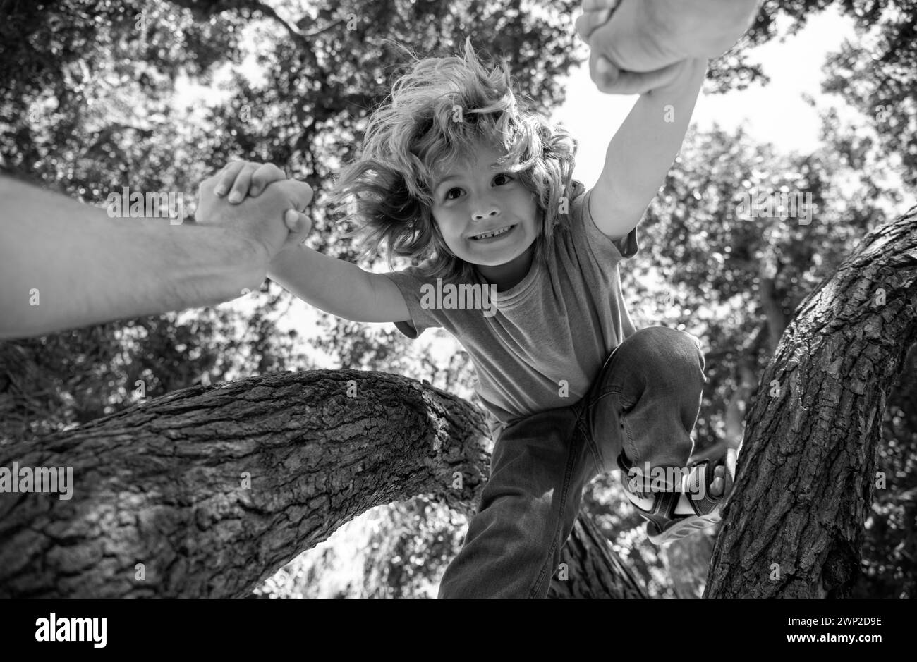 Fathers hand. A father helping his son down from the branch of a tree. Stock Photo