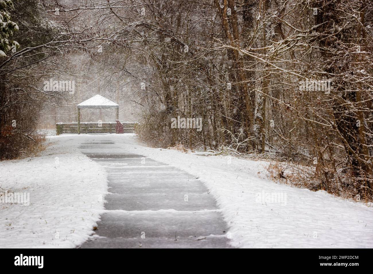 The South Holston River and Osceola Island during a snow event in