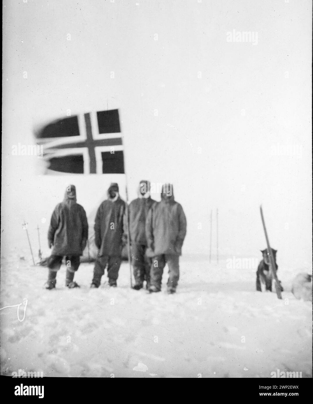 Oscar Wisting, Olav Bjaaland, Sverre Hassel and Roald Amundsen at the South Pole on 14 December 1911 Stock Photo