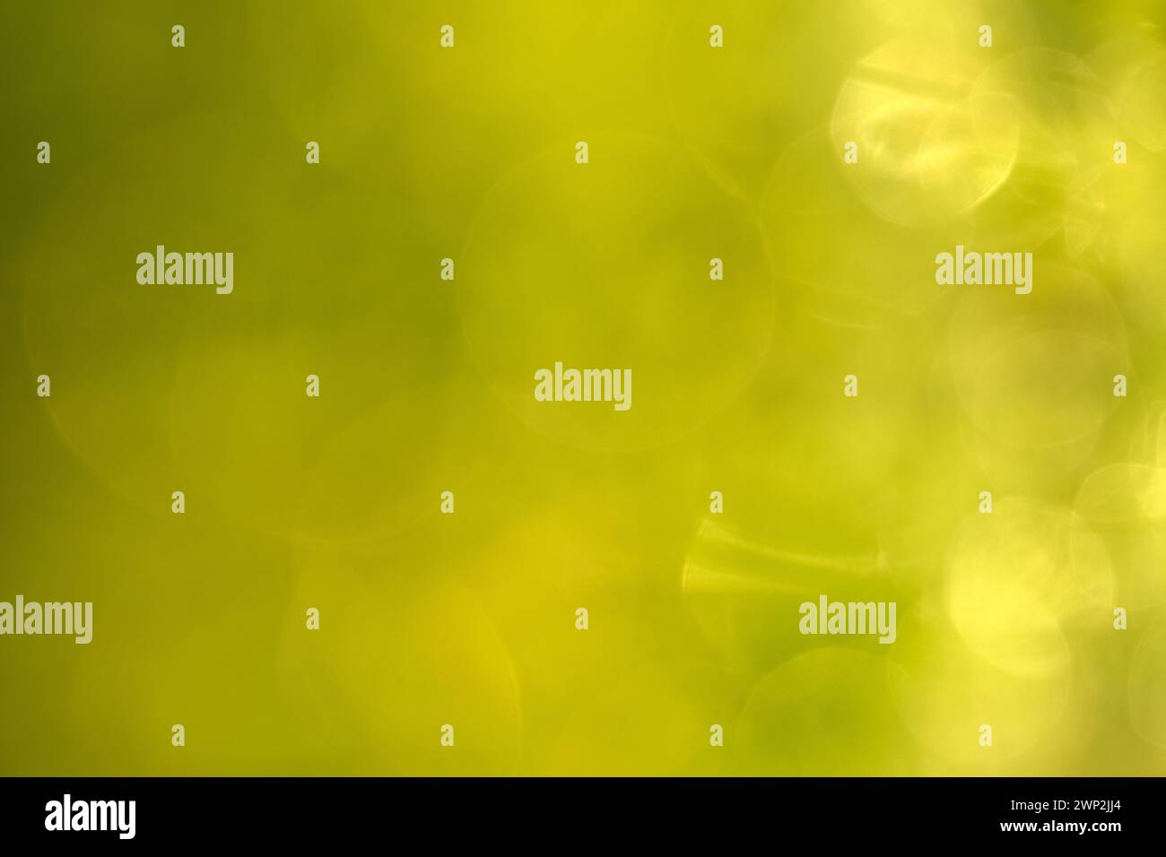 Vibrant natural backdrop hi-res stock photography and images - Alamy