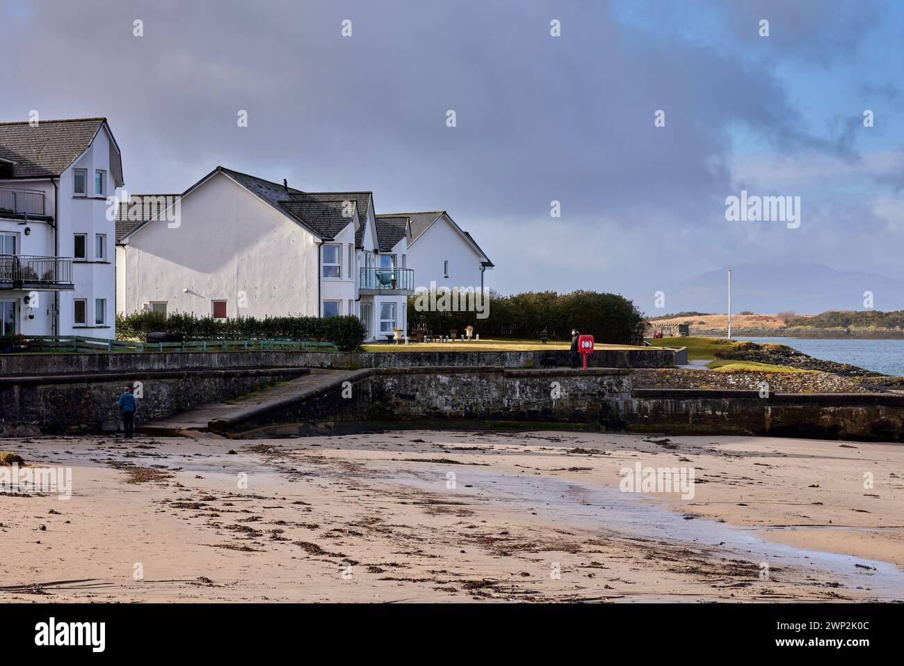 Dog getting fresh air hires stock photography and images Alamy