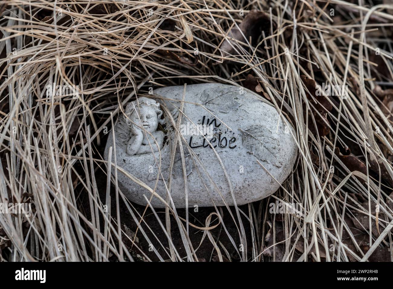 A heart with the inscription 'in love', natural burial grave site, Friedwald, Reinhardswald Forest, Weser Uplands, district of Kassel, Hesse, Germany, Stock Photo