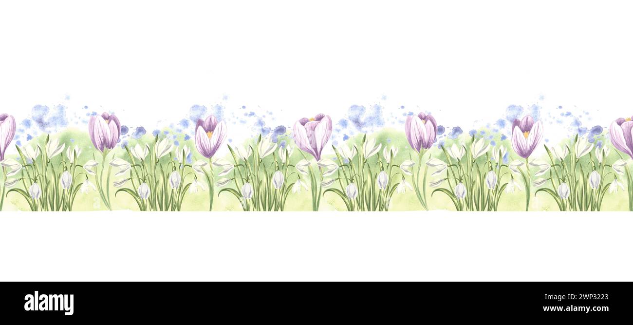 Seamless border of violet crocuses and white snowdrops. Hand drawn watercolor illustration spring blossom primroses. Template banner for fabric, wallp Stock Photo