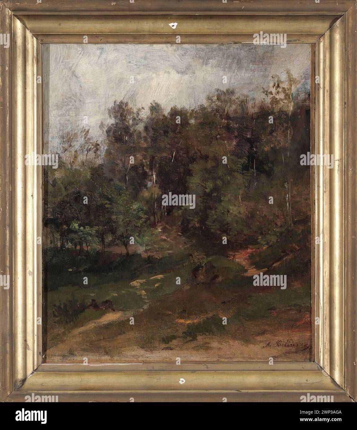 Bili forest hires stock photography and images Alamy