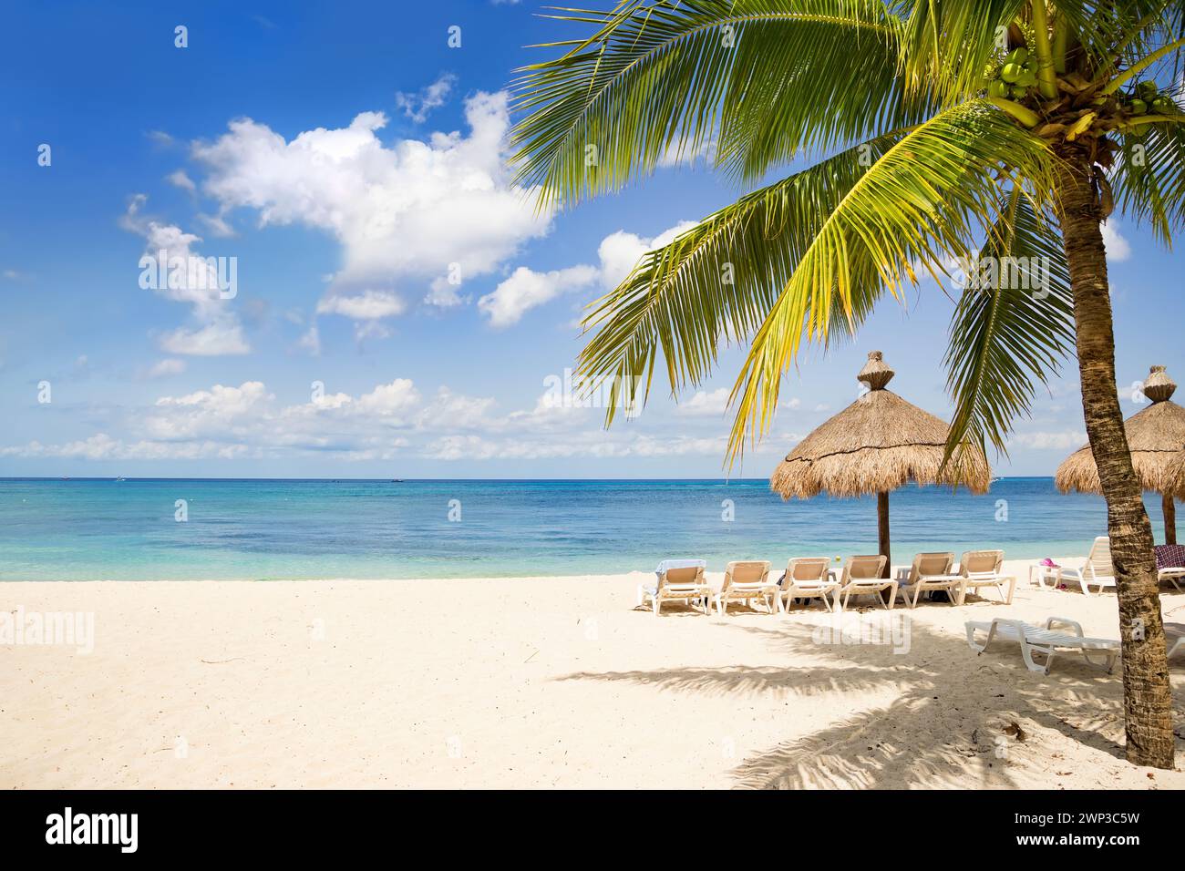 Beach ocean palm hi-res stock photography and images - Alamy