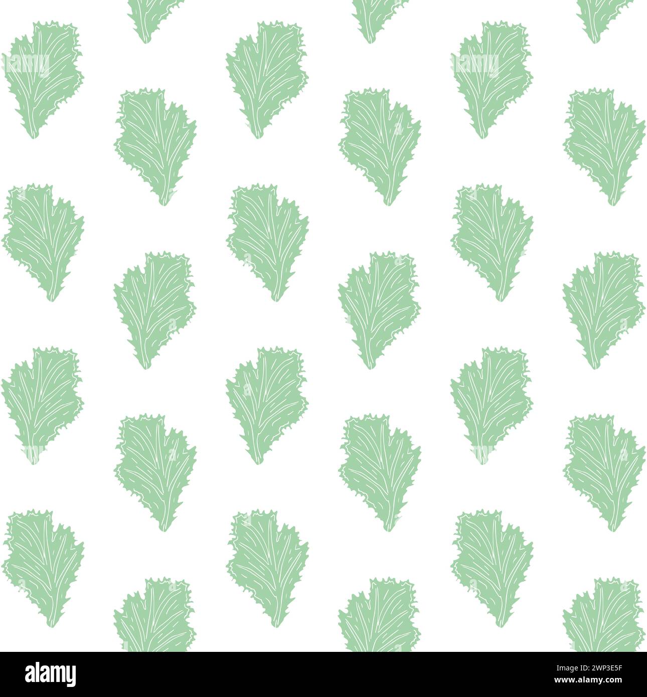 Vector seamless pattern of hand drawn salad leaf Stock Vector Image ...