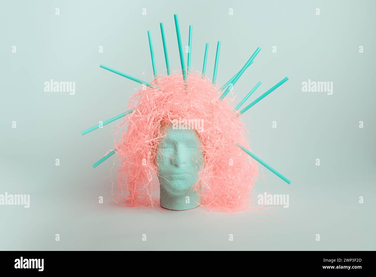 Abstract concept of a scatterbrain, modelhead with crazy hair and straws Stock Photo
