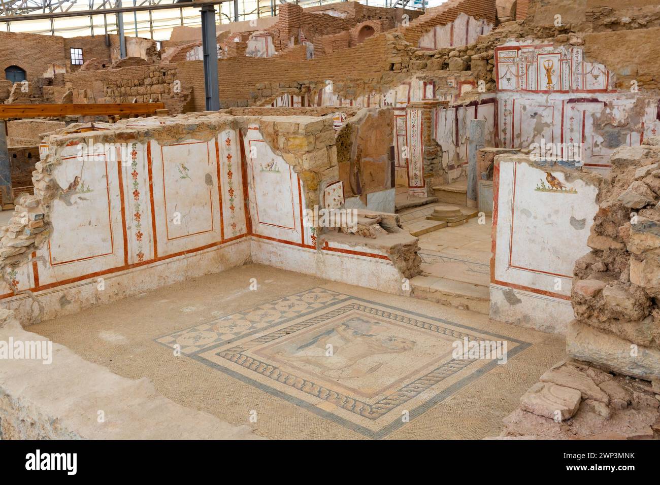 Terrace Houses in Ephesus Stock Photo - Alamy