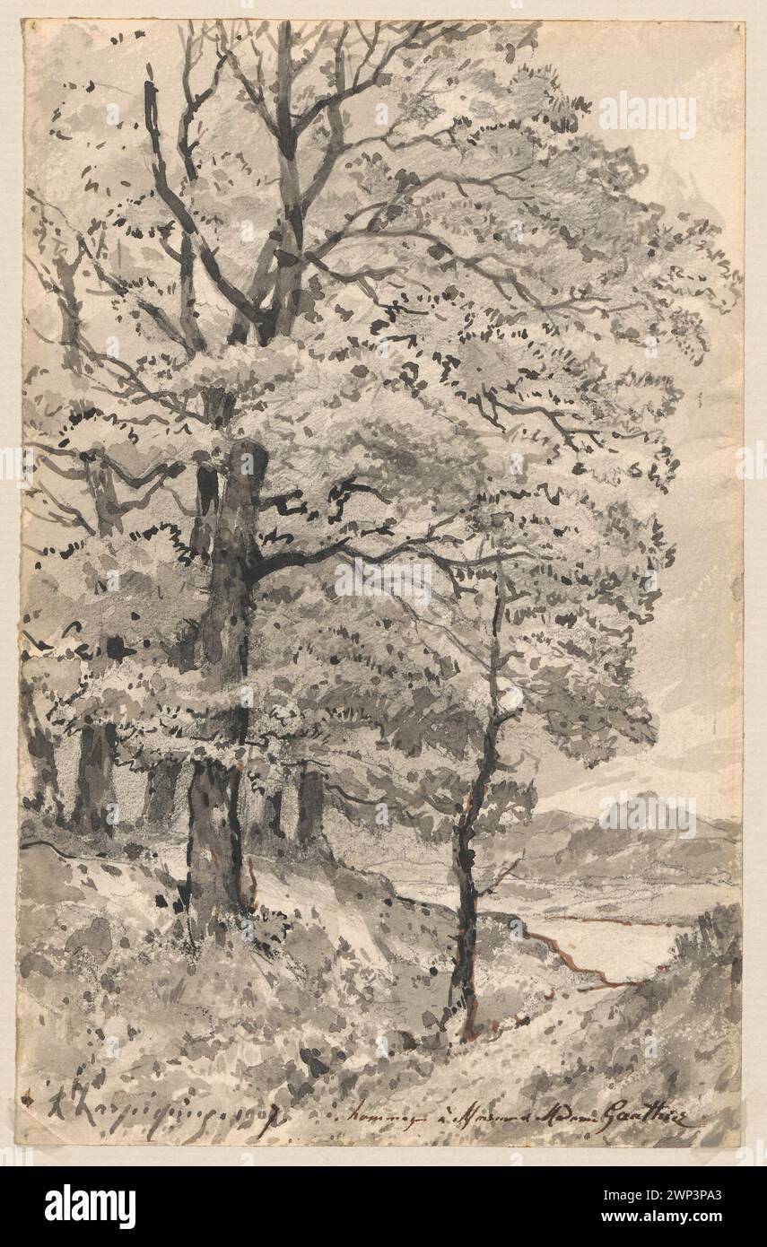 A 1907 painting by Henri Joseph Harpignies depicts a forest landscape ...