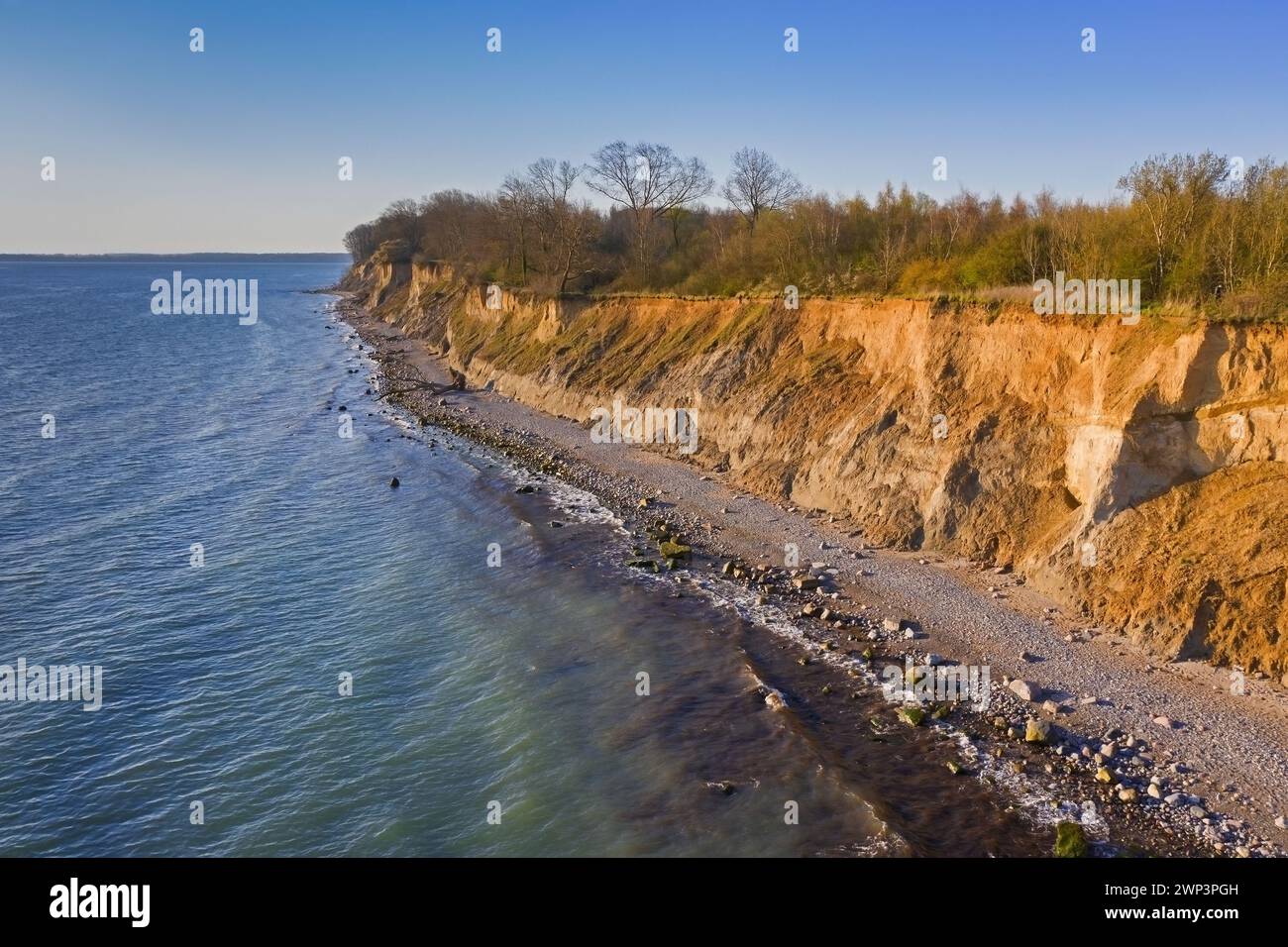 Aerial view over beach and Brodtener Ufer / Brodten Steilufer, cliff in the Bay of Lübeck along the Baltic Sea at sunrise, Schleswig-Holstein, Germany Stock Photo