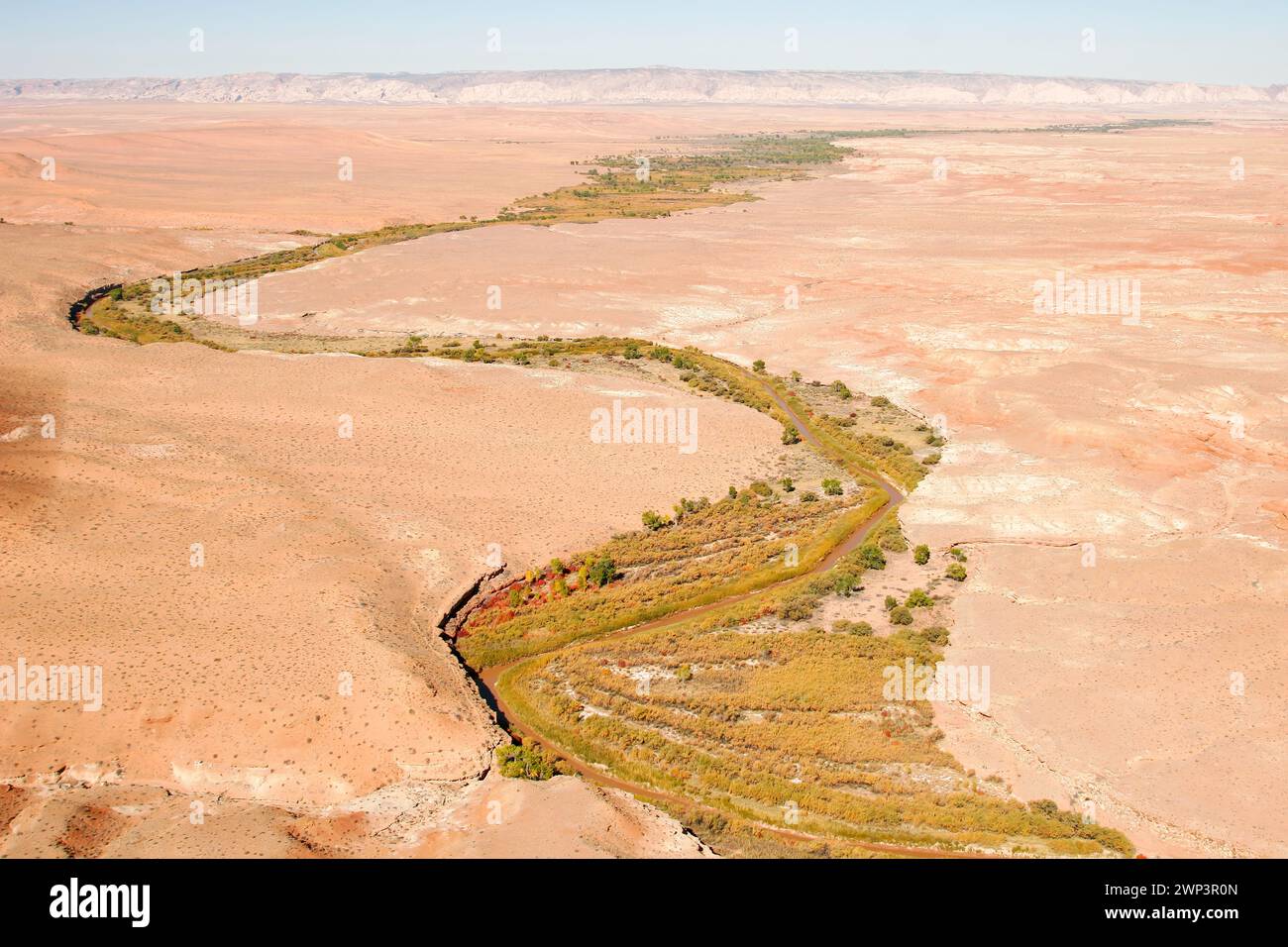 The riparian zone along the San Rafael River winding through the San ...