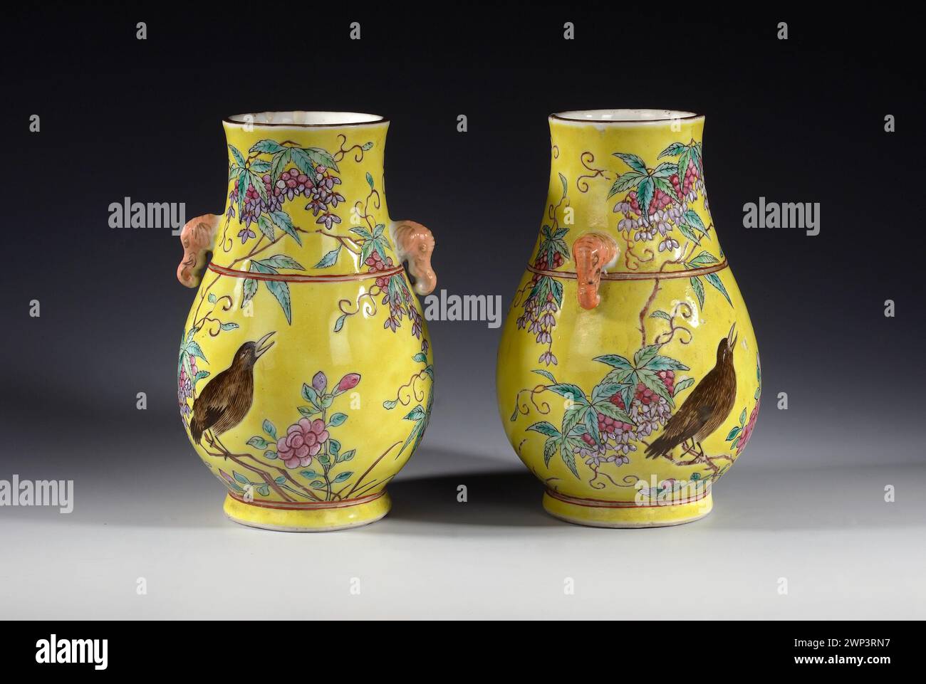 Huaniao hi-res stock photography and images - Alamy