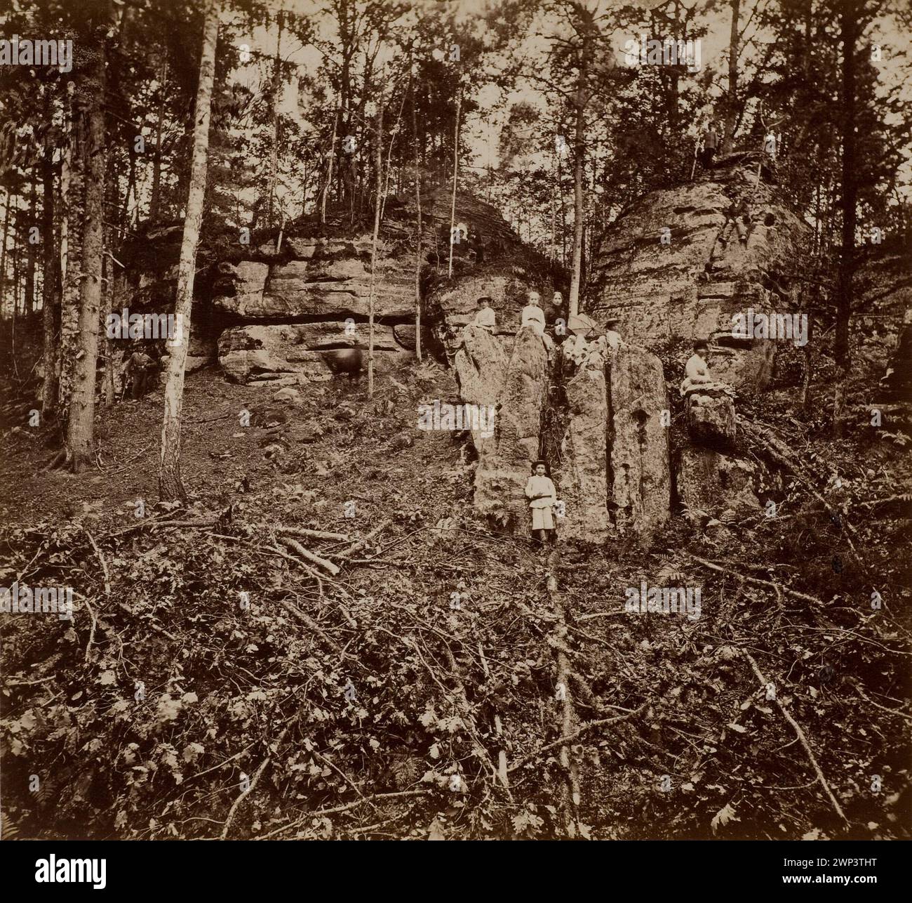 Not aka. Lekie forest called hell in the estate of HR. Ludwik Plater; Grodzicki, Józef (1854-1939); around 1880 (1885-00-00-1895-00-00);Kieleckie (region), Méyet, Leopold (1850-1912), Méyet, Leopold (1850-1912)-collection, Niekłań (Świętokrzyskie Voivodeship), Plater, Ludwik Broel (1844-1909), Dar (provenance), forests, landscapes , testamentary record (provenance), photosensitive (Warsaw - exhibition - 2009) Stock Photo
