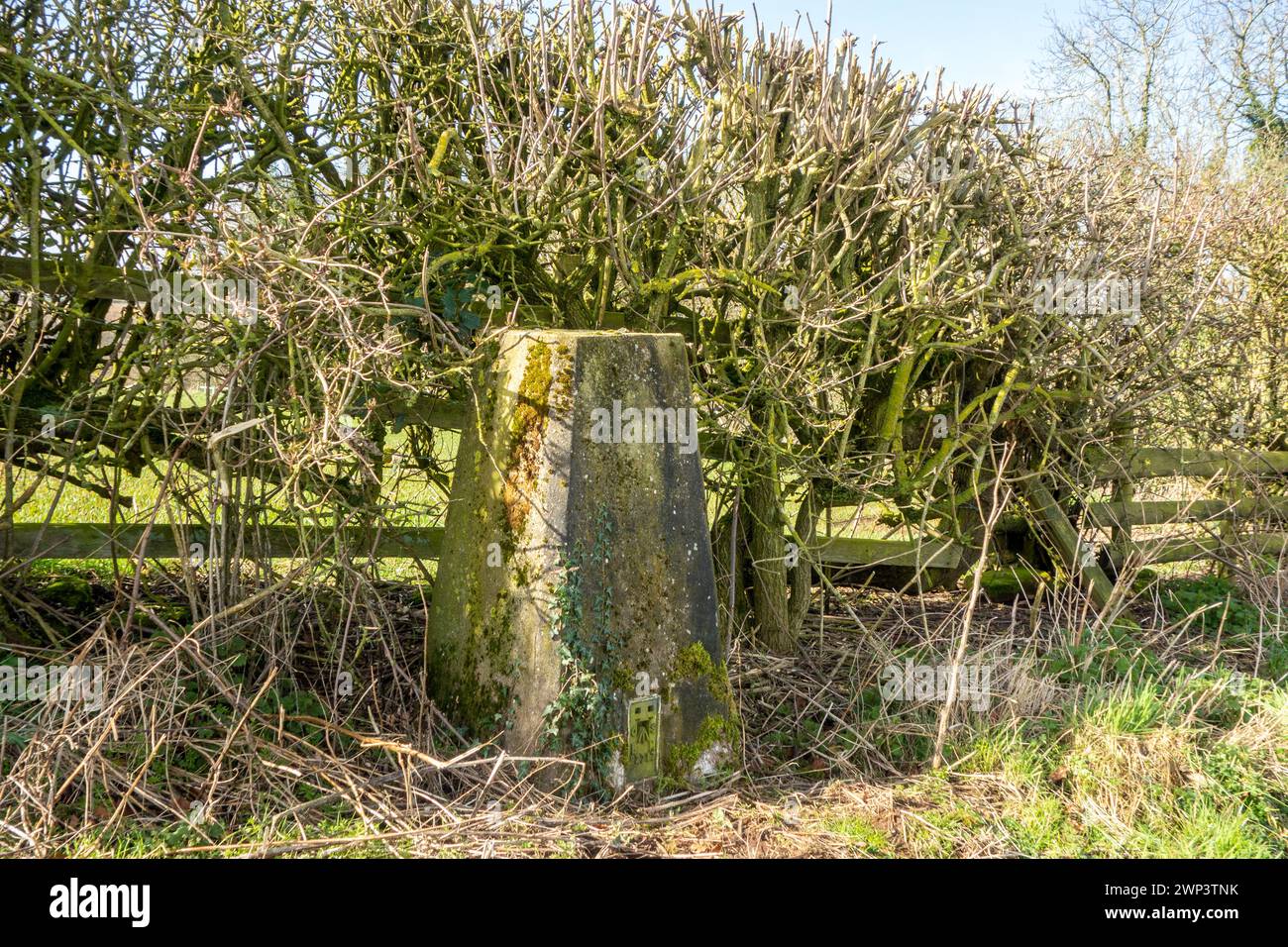 Ordinance  Survey Trig point in a hedgerow on Luddington Hill  above the Cheshire village of Tarporley Stock Photo