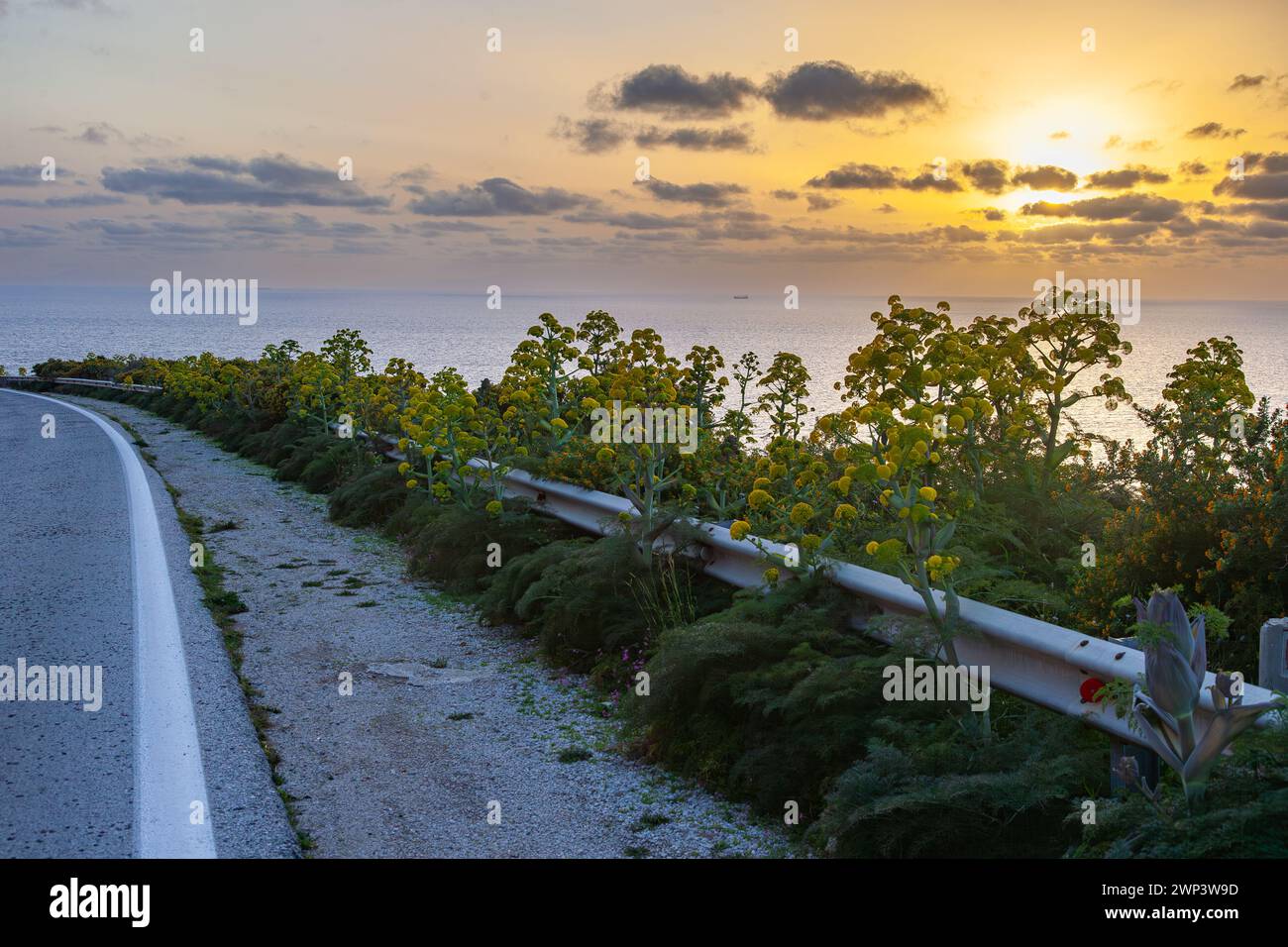 Amarantos plant blooming near sea with a small chappel near it Stock Photo