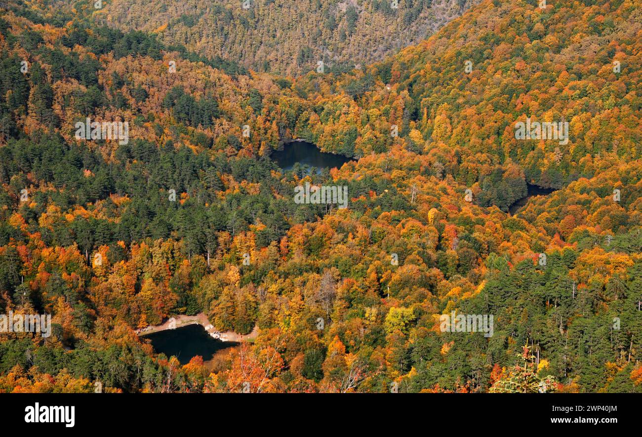 Yedigoller National Park in Bolu, Turkey. Stock Photo