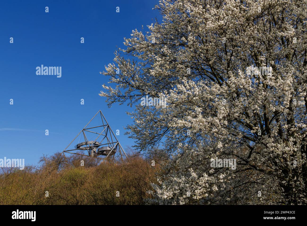 spring time in the german ruhr aerea Stock Photo - Alamy