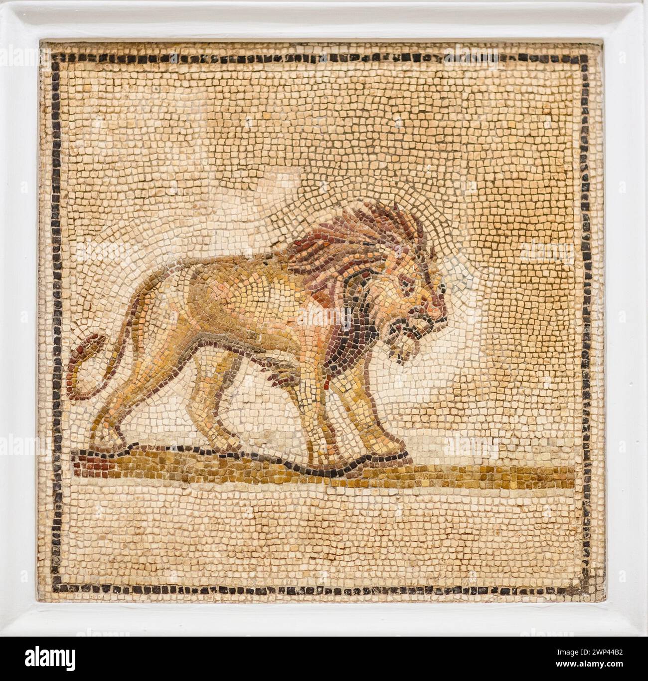 Ancient Roman mosaic of a lion, 3rd-century artwork, exhibited in Seville Archaeological Museum. Stock Photo