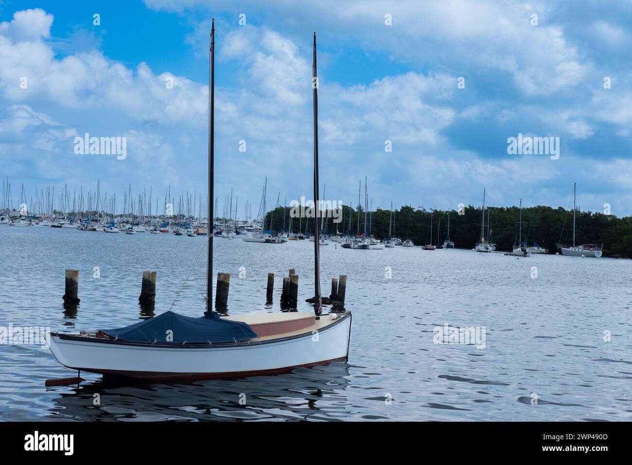 Photography of a white sailboat at a South Florida Bay. Stock Photo