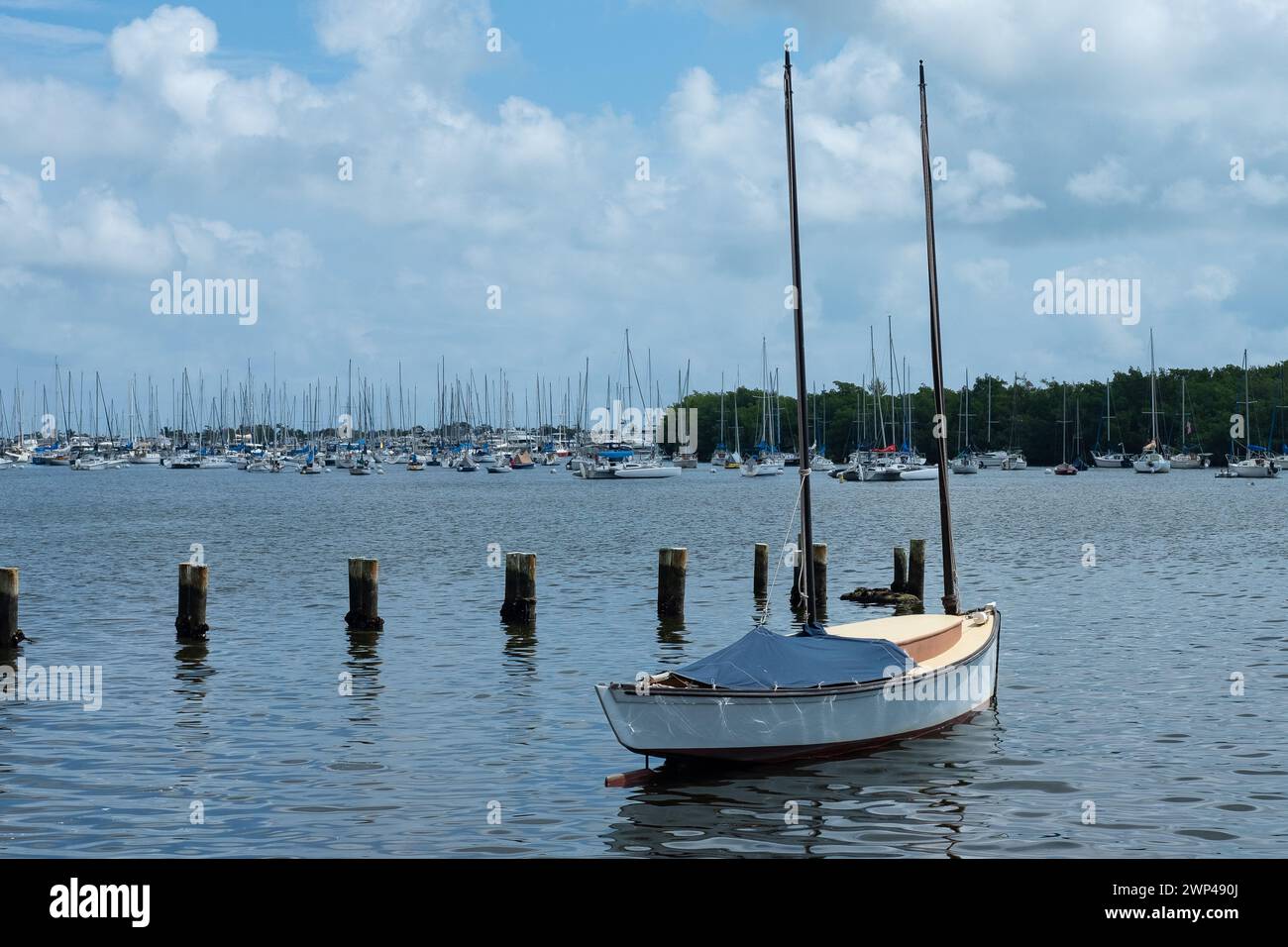 Photography of a white sailboat at a South Florida Bay. Stock Photo