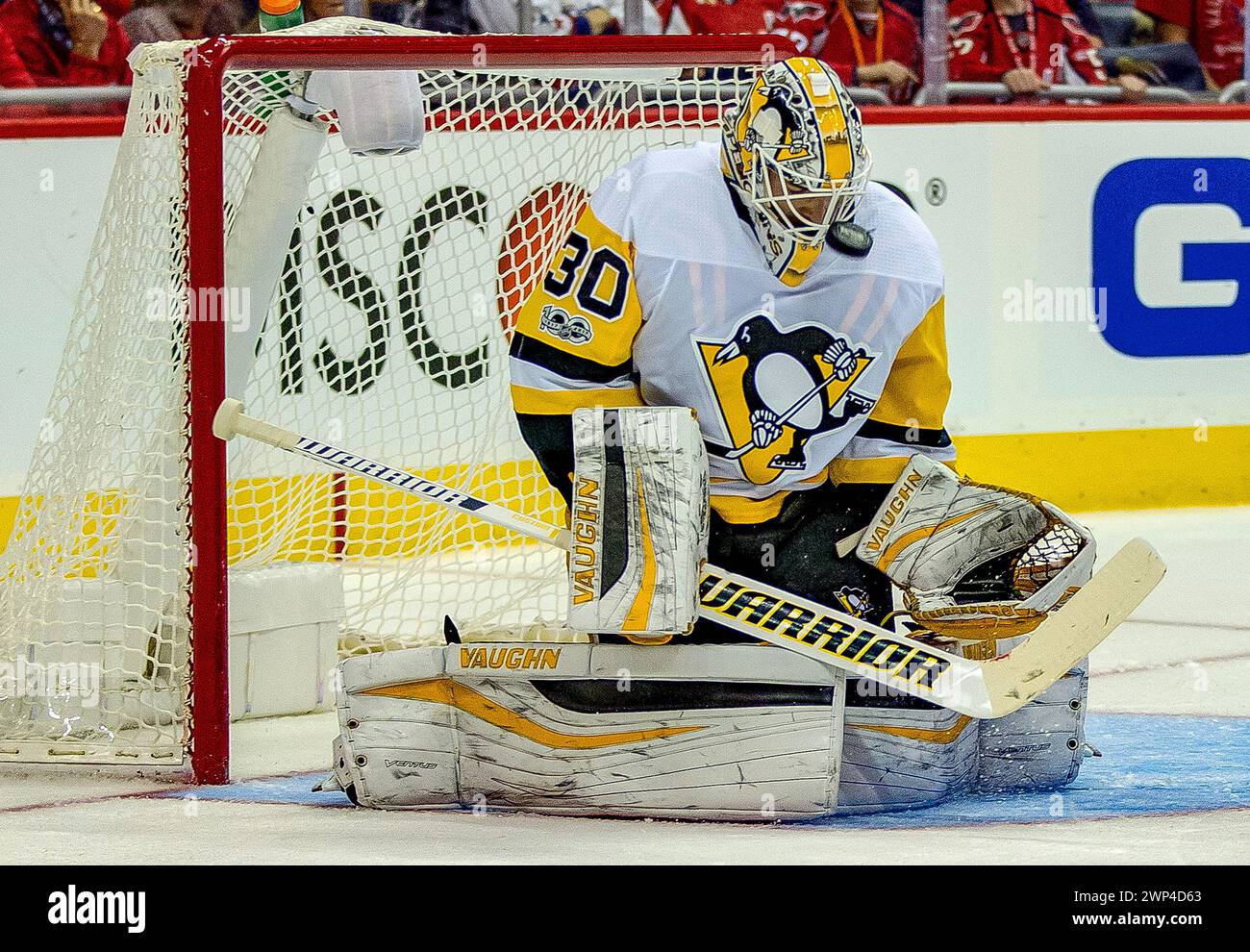 Pittsburgh penguins hi-res stock photography and images - Alamy, image size:1300x990