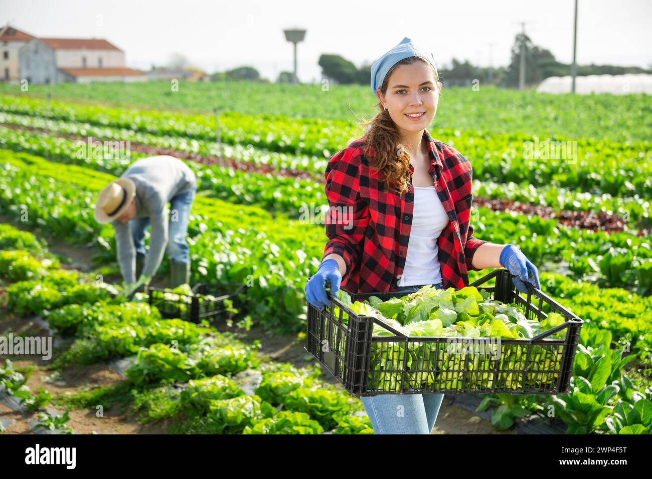 Female farmer carries box hi-res stock photography and images - Alamy
