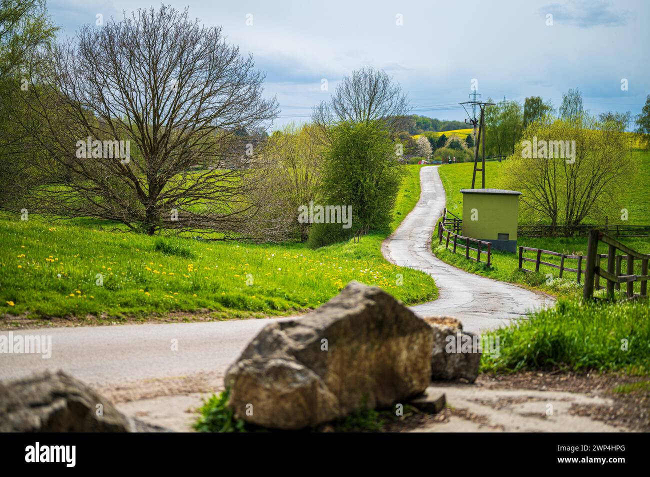 A winding path leads through a spring-like landscape with green meadows, Wuelfrath, Mettmann, North Rhine-Westphalia Stock Photo