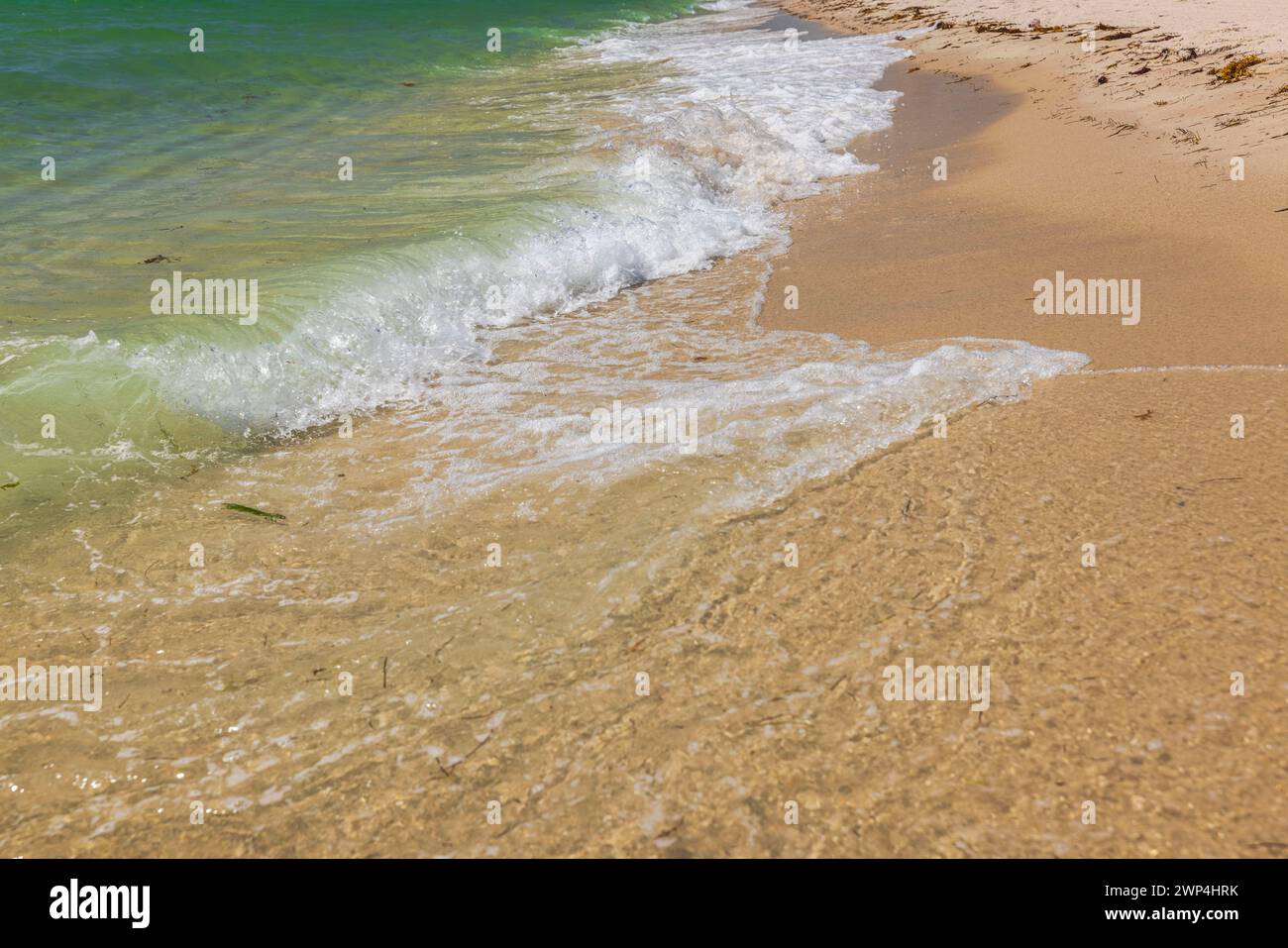 Scenic sight of a sandy beach, with the waves of the Atlantic Ocean gently lapping against the shore. Miami Beach. Stock Photo