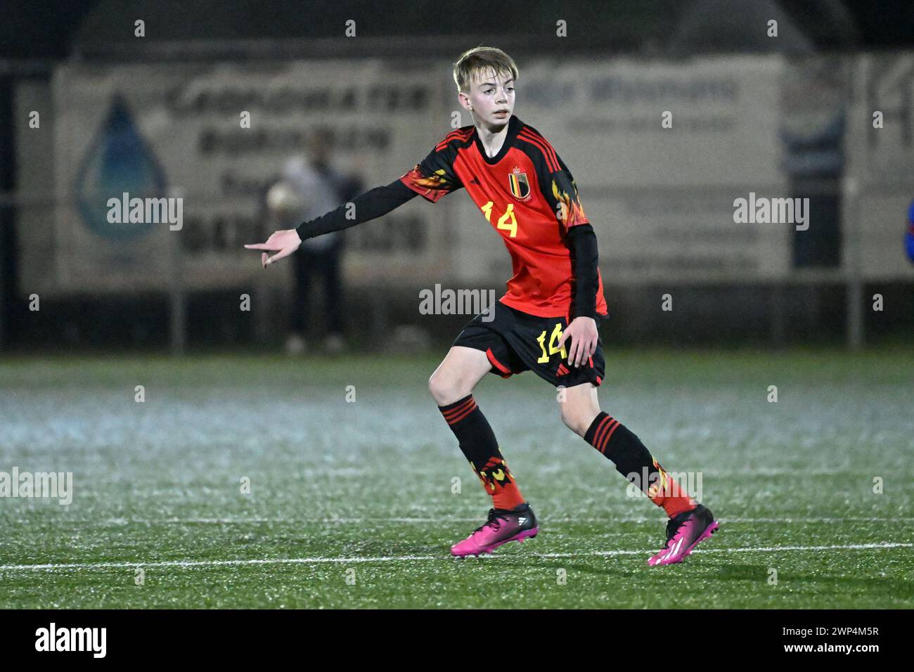 korneel-hi-res-stock-photography-and-images-alamy
