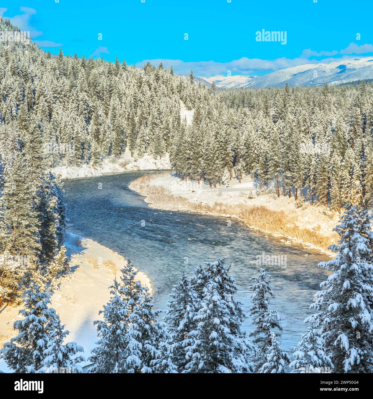 clark fork river in winter near tarkio, montana Stock Photo Alamy