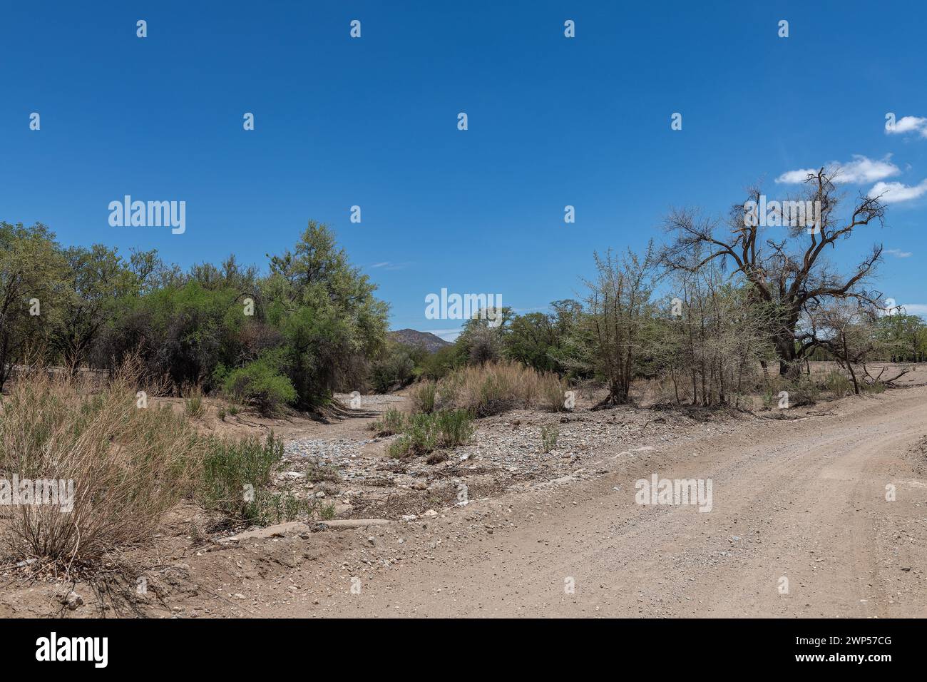 The dry riverbed of the Ugab River, Damaraland, Namibia Stock Photo