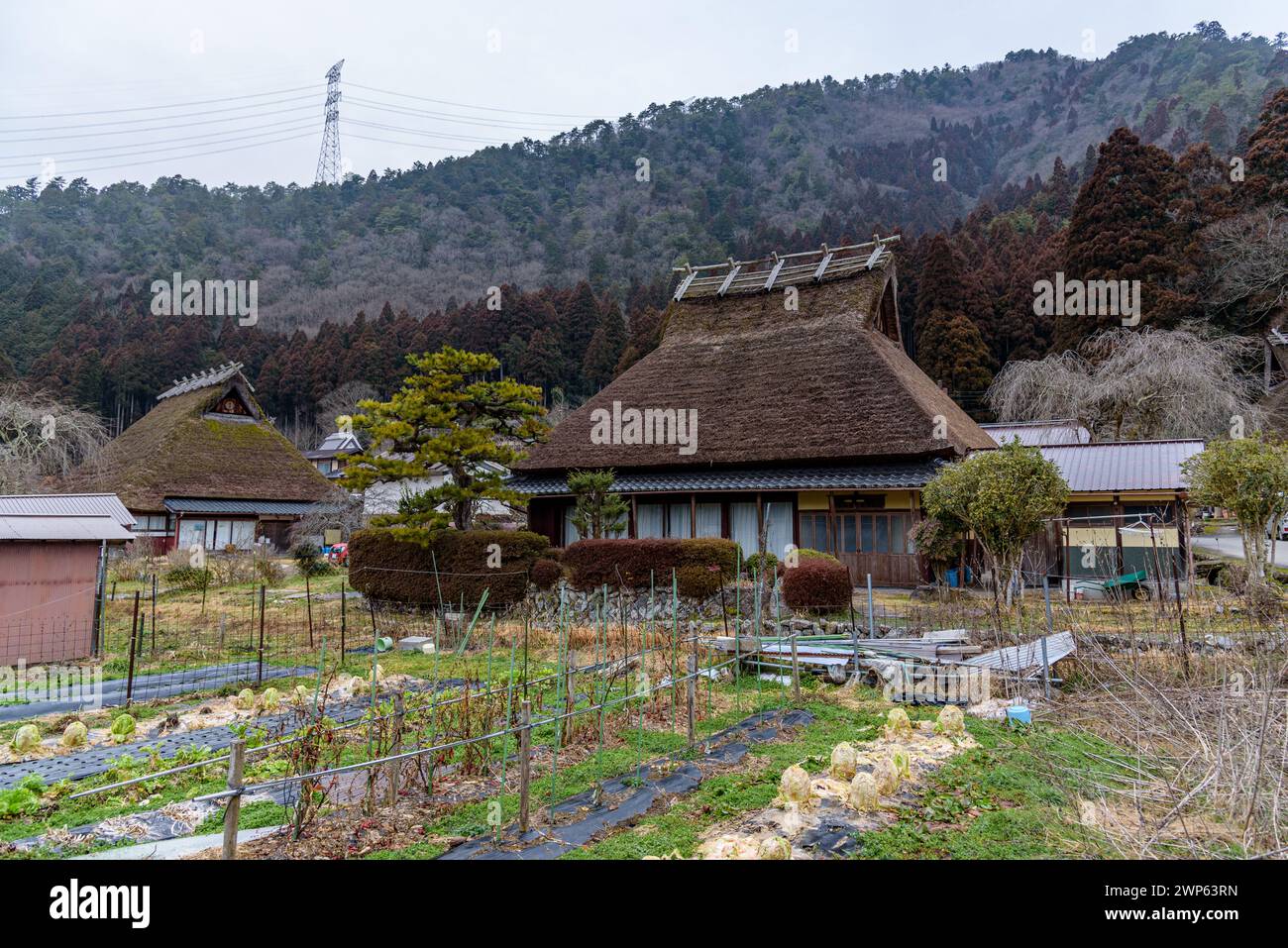 Traditional thatched roof houses of Miyama village in Kyoto Prefecture in Japan, made using kayabuki grass roofing technique, a UNESCO Intangible Cult Stock Photo