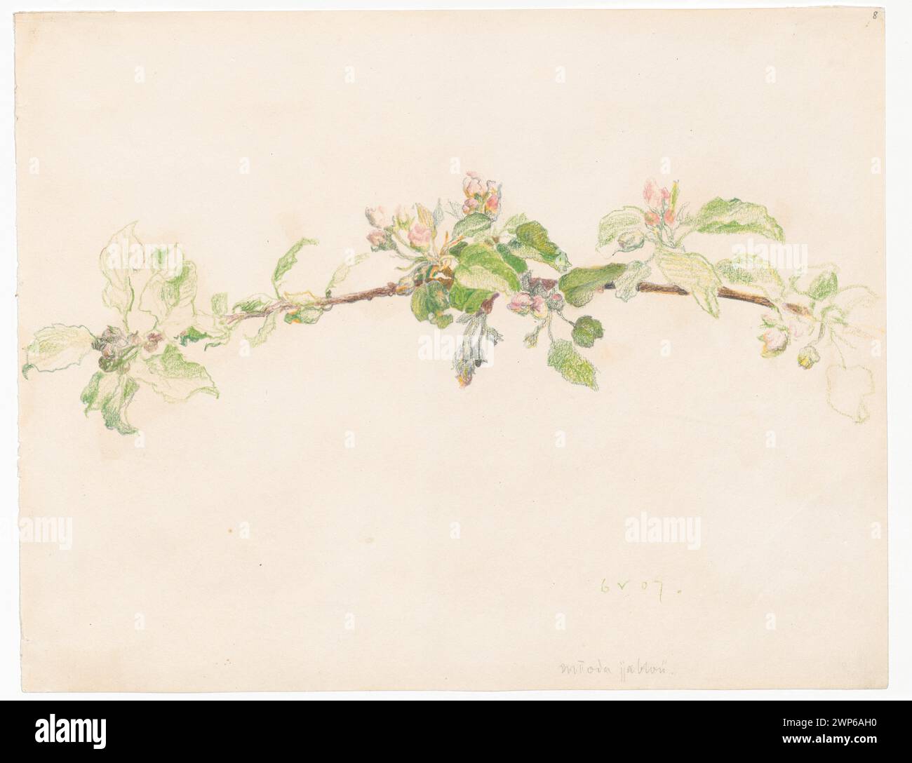 A 1907 painting by Ferdynand Ruszczyc depicts blooming apple trees with flowers. The artwork was purchased with documented provenance. Stock Photo