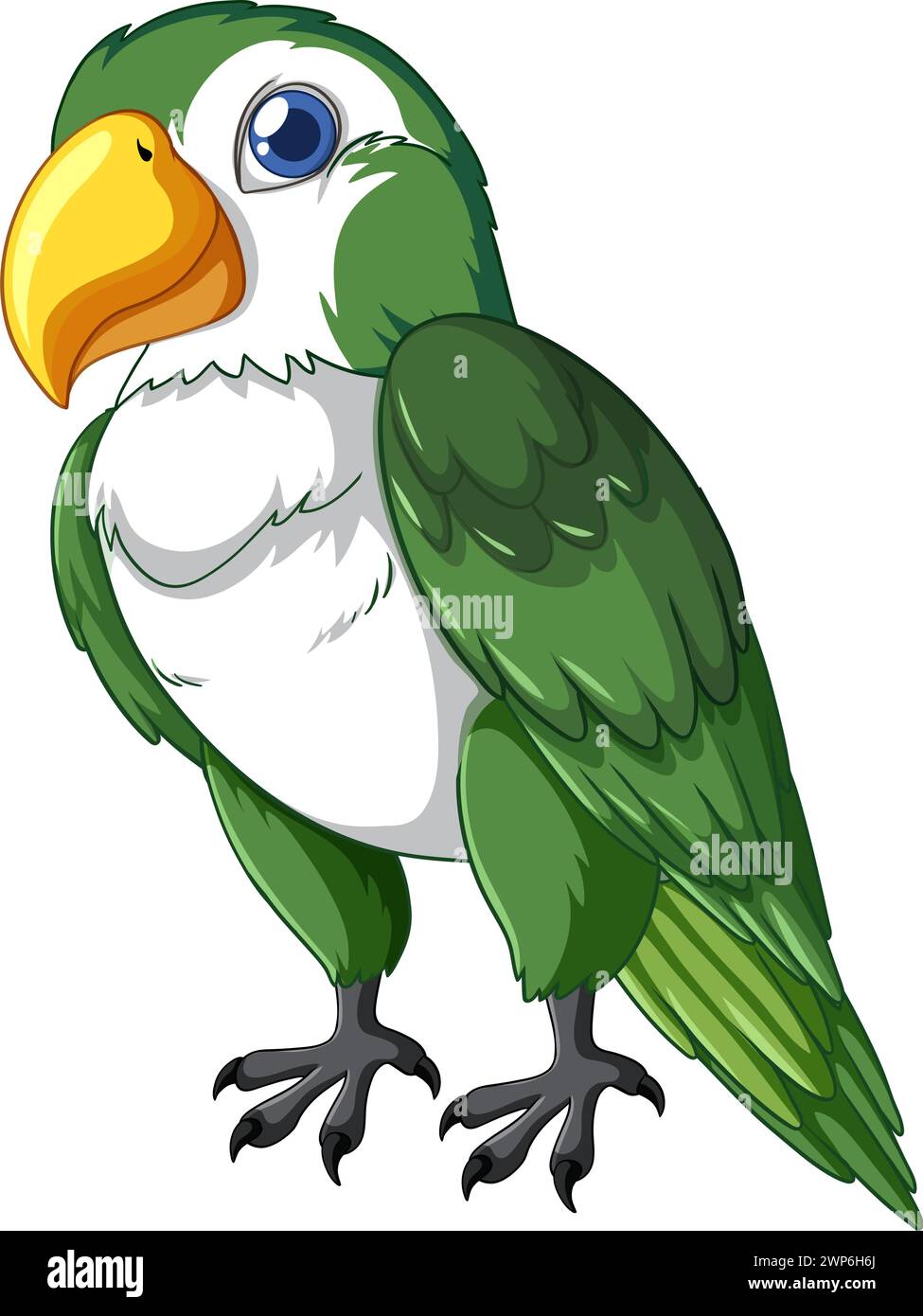 A vibrant vector graphic of a green parrot Stock Vector Image & Art - Alamy