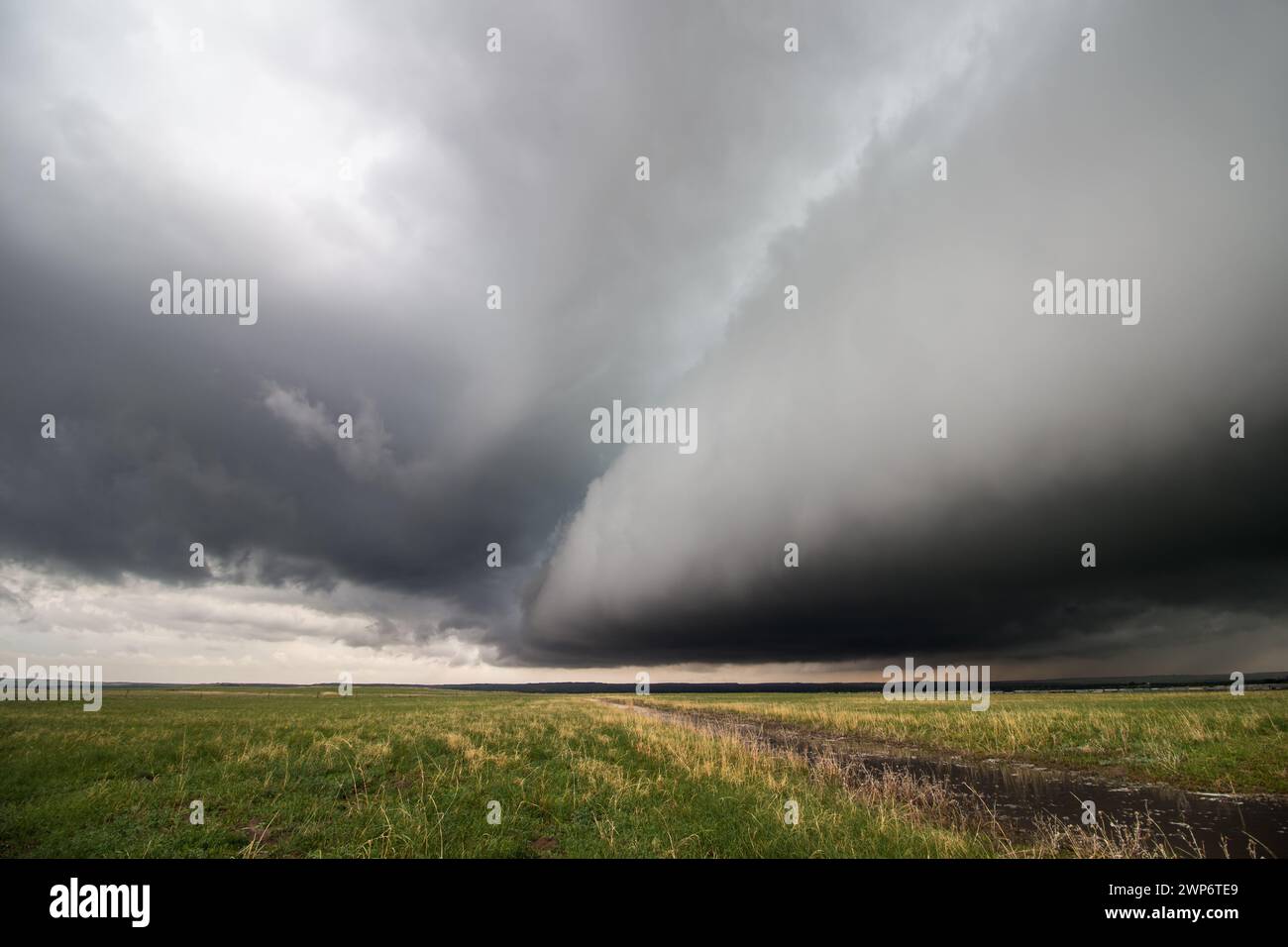 A massive shelf cloud approaches over a flat grassland, bringing rain, wind, and stormy weather. Stock Photo