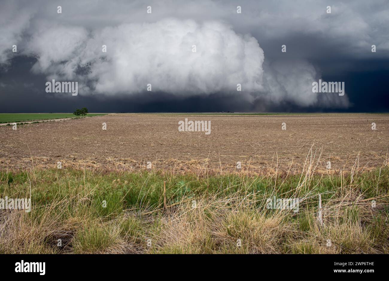 A massive, thick shelf cloud hangs low over flat farmland. A dark storm is approaching fast. Stock Photo
