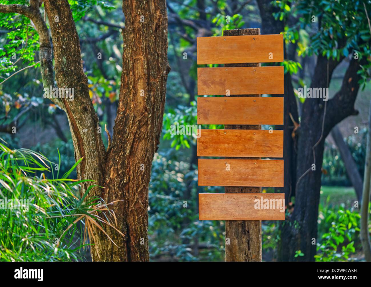 Empty wooden direction board in a park, brown wooden direction board template standing under big trees. Stock Photo