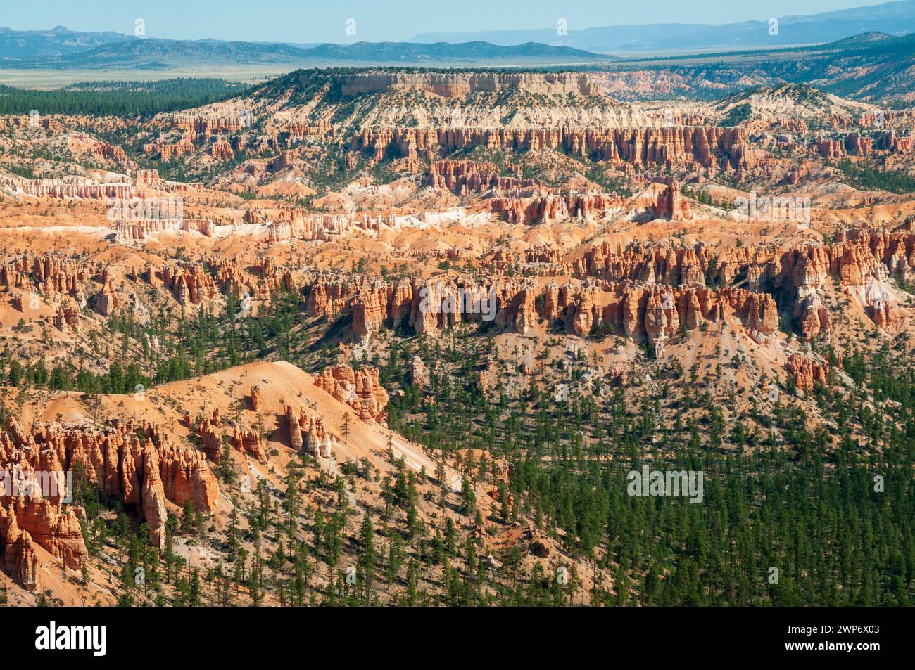 The Bryce Amphitheater at Bryce Canyon National Park in southern Utah, USA Stock Photo