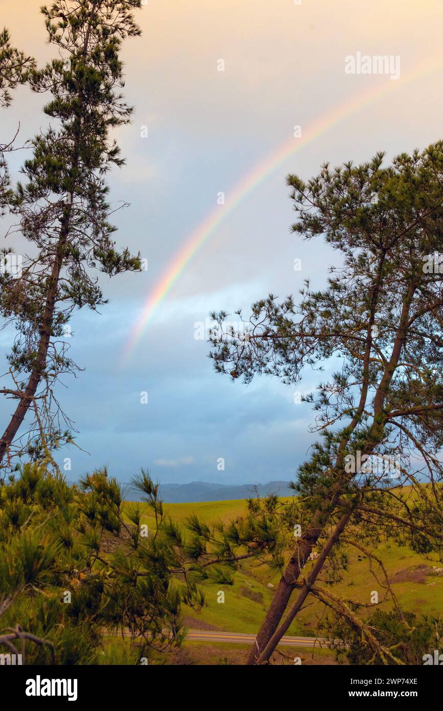 Rainbow and pine trees hi-res stock photography and images - Alamy
