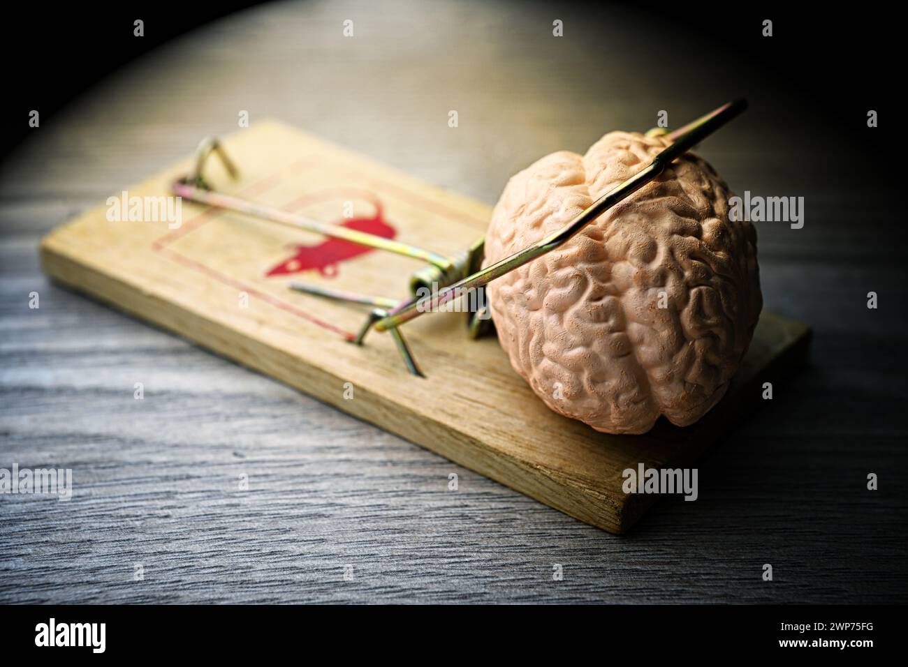Gehirn in der Mausefalle Stock Photo