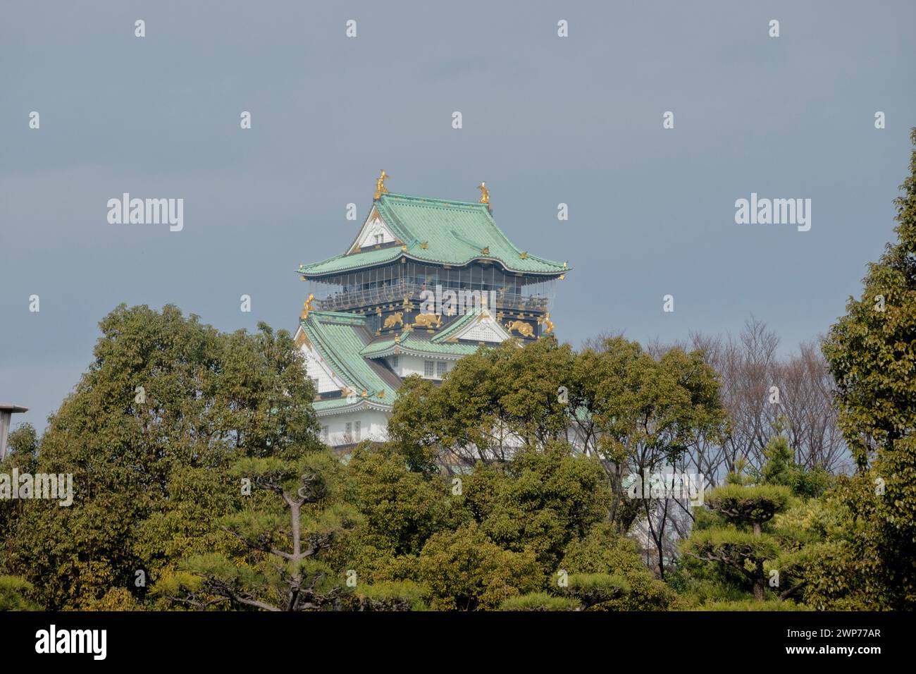 Osaka Castle rises above Osaka Castle Park, Osaka,  Japan Stock Photo