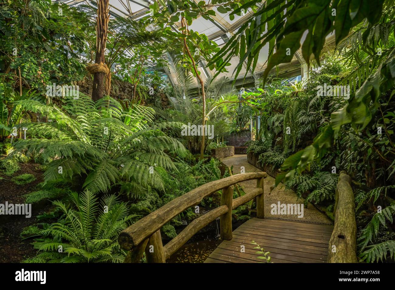 Gewächshaus Farnhaus, Botanischer Garten, Lichterfelde, Steglitz