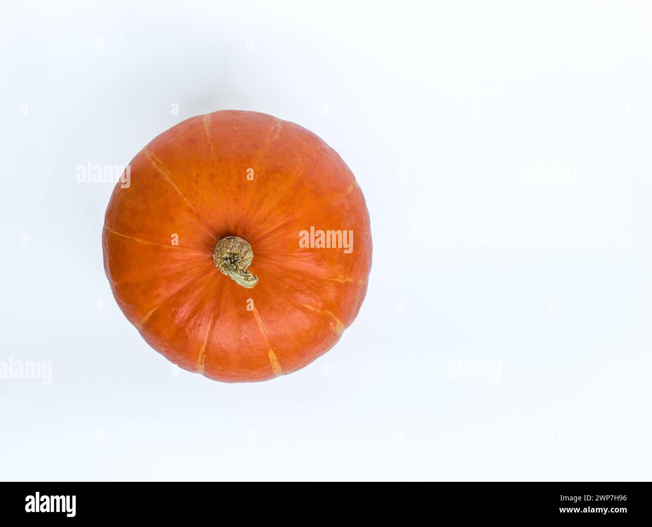Top view of pumpkin (Red kuri squash; Hokkaido) on white background ...