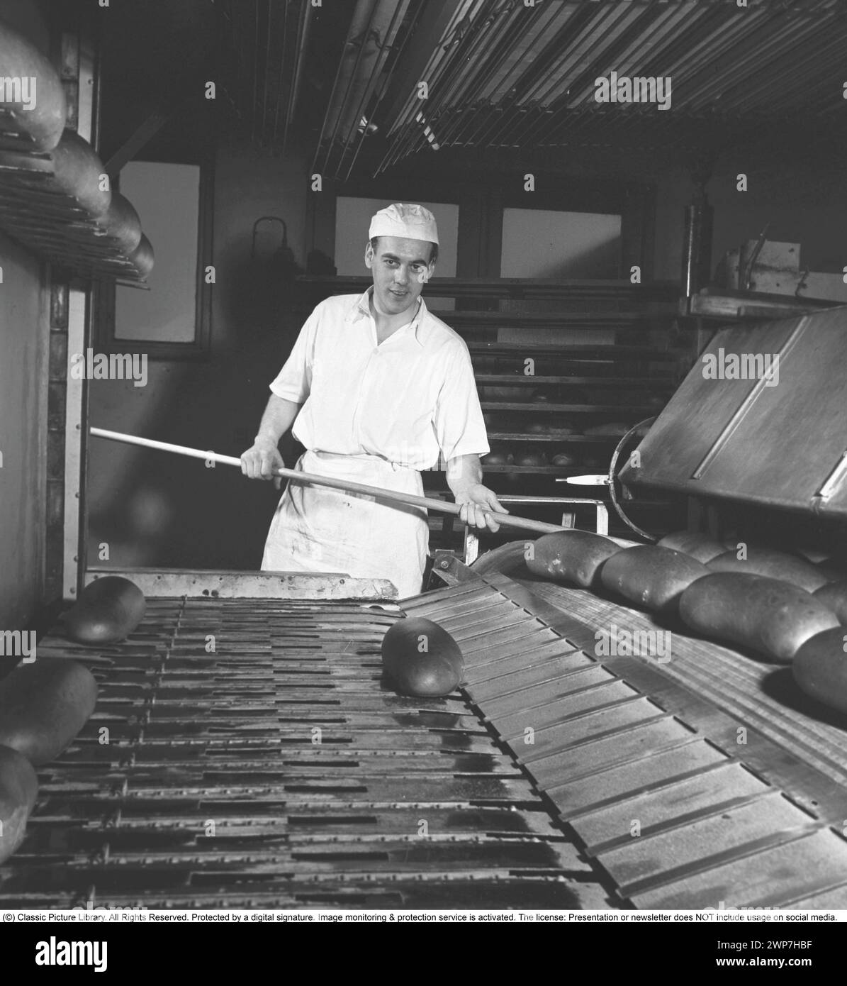 Bakery in the 1950s. A man working in the bakery, handling the loafs of bread ready baked. This is a industrial bakery, baking thousands of bread called HåWe bakery in Karlstad Sweden. February 1952. Stock Photo