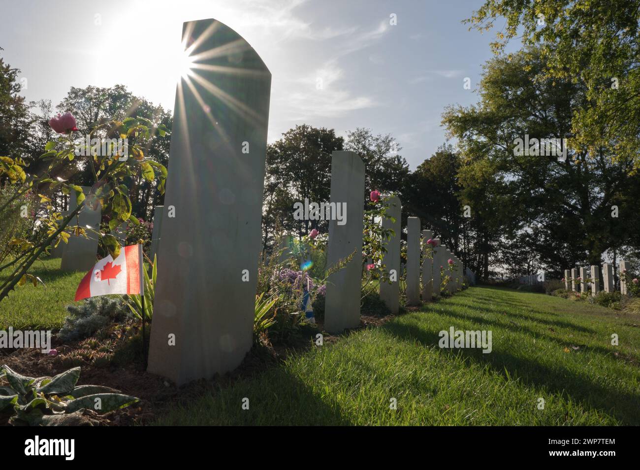 Detail of a Canadian flag on a headstone at the Canadian War Cemetery. It is a backlit photograph with the star effect in the sun. Stock Photo