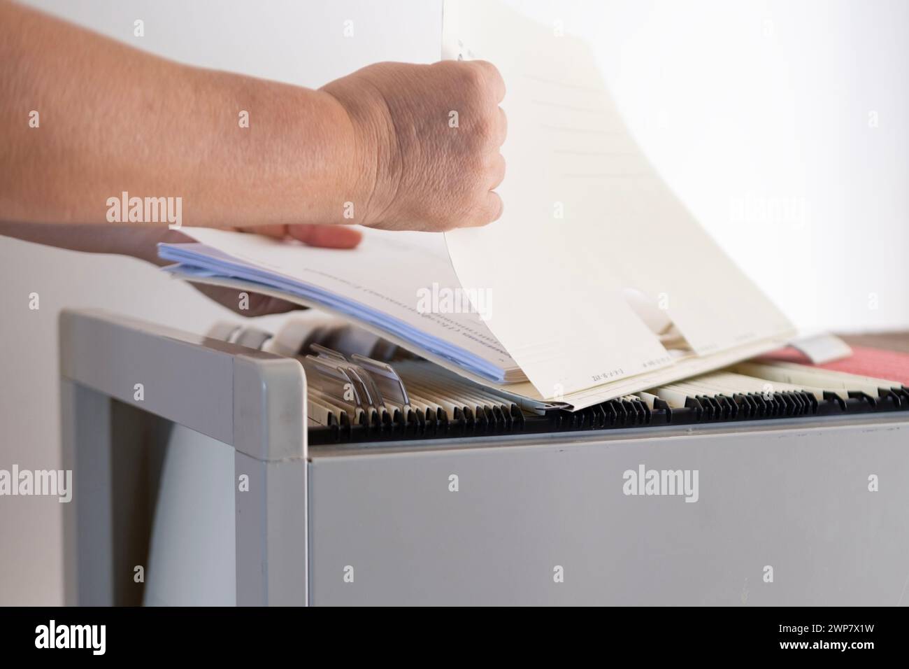 female hands through folders In Document Storage close-up, Home Archive, Record Keeping, Information Retrieval, File Organization, Document Indexing, Stock Photo
