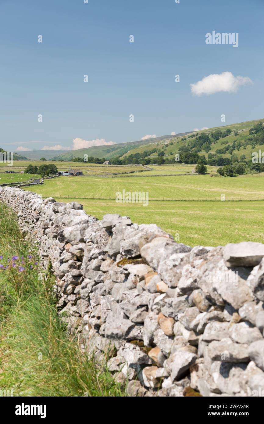 Limestone drywalls in Nidderdale, Yorkshire Dales, UK. Stock Photo