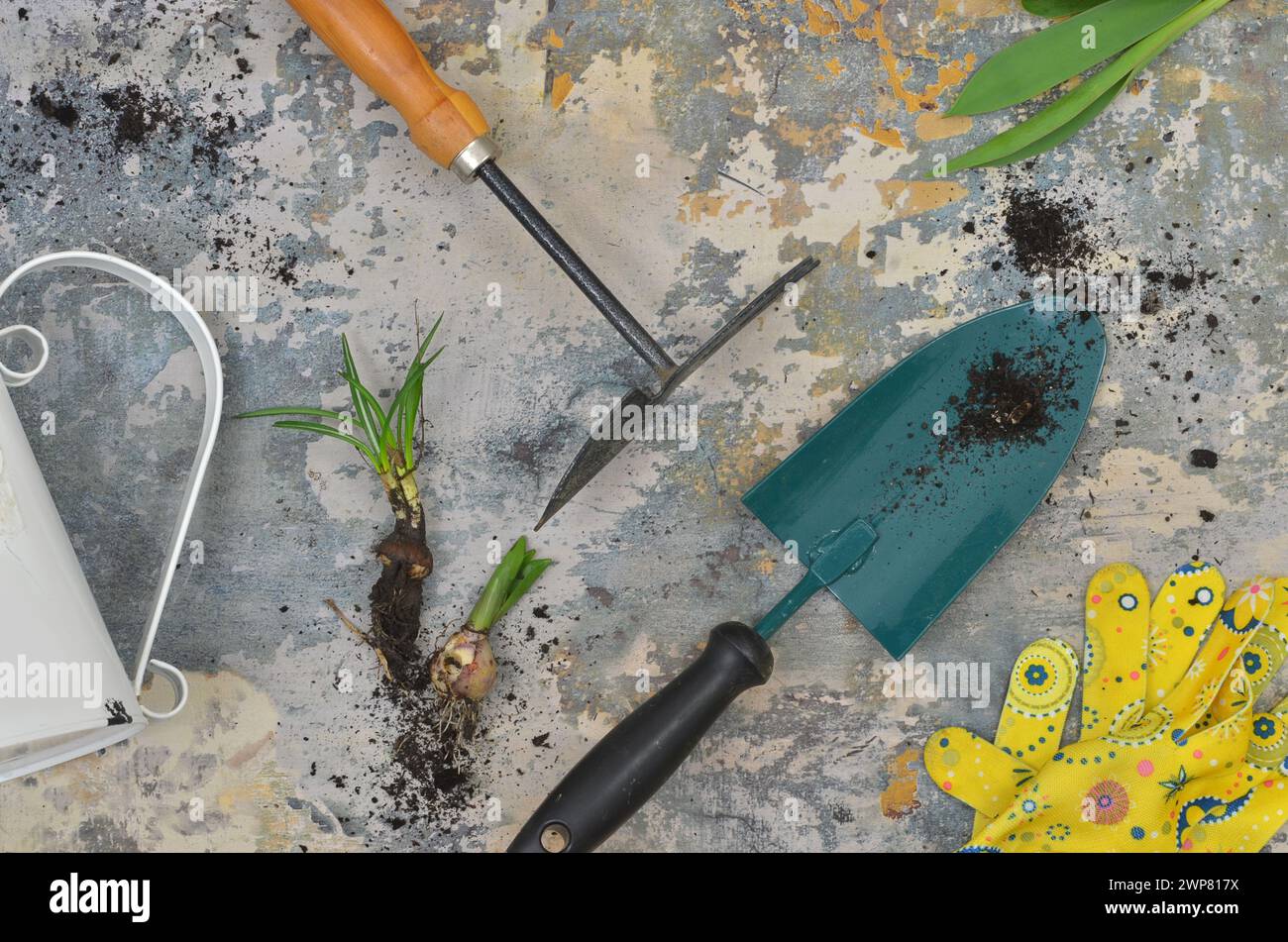 Spring Garden Tools Spring planting seedlings flat hi-res stock photography and images - Alamy